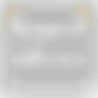 Στην όμορφη εγγονή μου – Κολιέ από λευκό χρυσό 14 καρατίων με ζιργκόν ORIANA