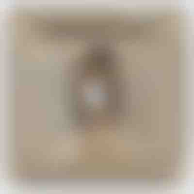 Στην κόρη μου – Κολιέ από λευκό χρυσό 14 καρατίων με ζιργκόν LEONA