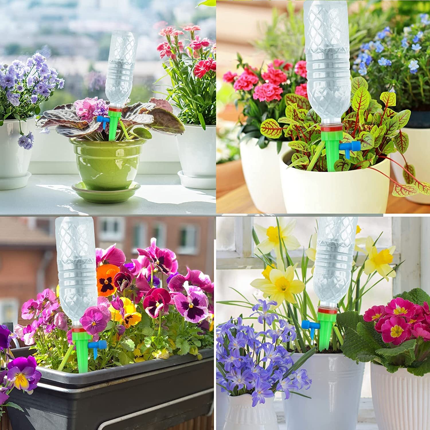 plantdrops-5__7f6f1612