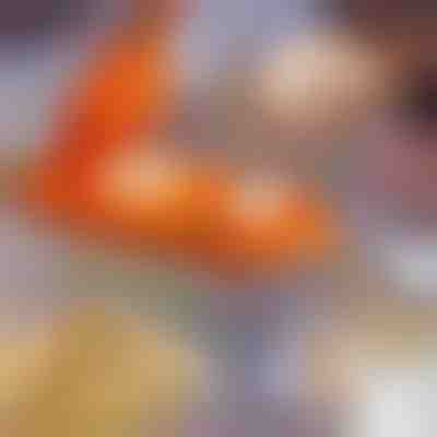 Παρασκευαστής ντάμπλινγκ 2 σε 1 | DUMPLINGER