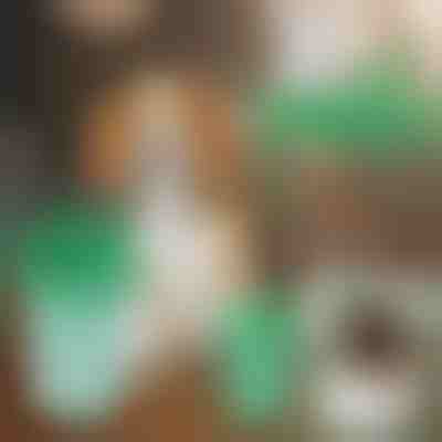 Εργαλείο καθαρισμού ποδιών σκύλου | PAWSANI