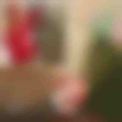 Άγιος Βασίλης με αλεξίπτωτο | SANTASWING