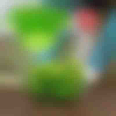 Κρατήστε τα παράσιτα μακριά με το VEGISHIELD (10τμχ)