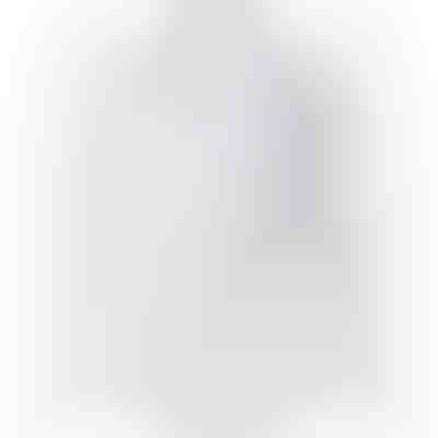 Ανδρικό Μακρυμάνικο Πουκάμισο BRILLSHIRT