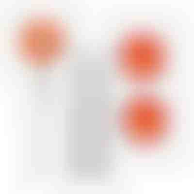 Περιστρεφόμενη σφουγγαρίστρα με επεκτεινόμενη λαβή CORALMOP