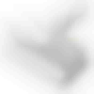 Σκουπάκι καθαρισμού στρωμάτων με UV απολύμανση SWEEPO