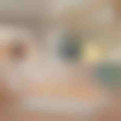 Αντιολισθητικό ράφι παλτών 8 γάντζων (2 τεμ.) | OCTAHANGER