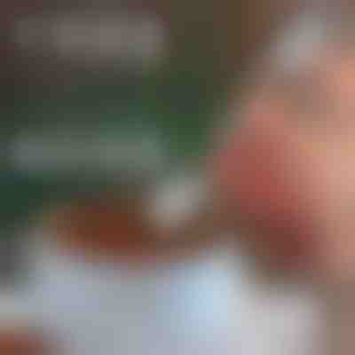 Χριστουγεννιάτικα διακοσμητικά κουτάλια (4τμχ) | XMASSPOON