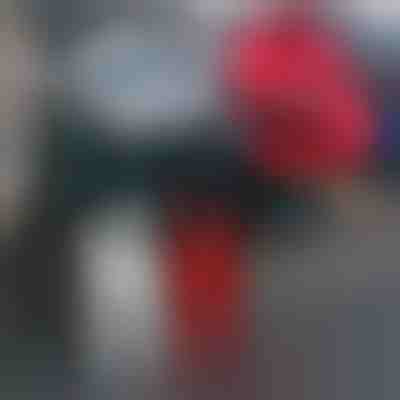 Νύχια από Τέρας Αυτοκόλλητα για Αυτοκίνητο (4 τεμάχια) | SHINECLAW