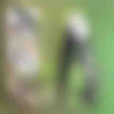 Αναδιπλούμενο πριόνι χειρός από το βύσμα άνθρακα | OSAW