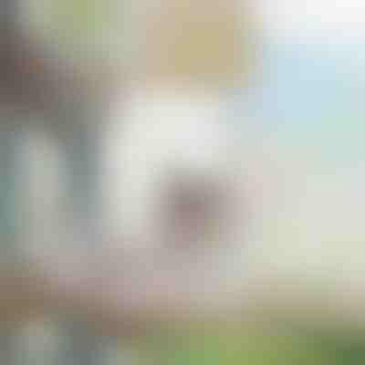 Κρεμαστή αιώρα για γάτες και μικρούς σκύλους | PURRPAD