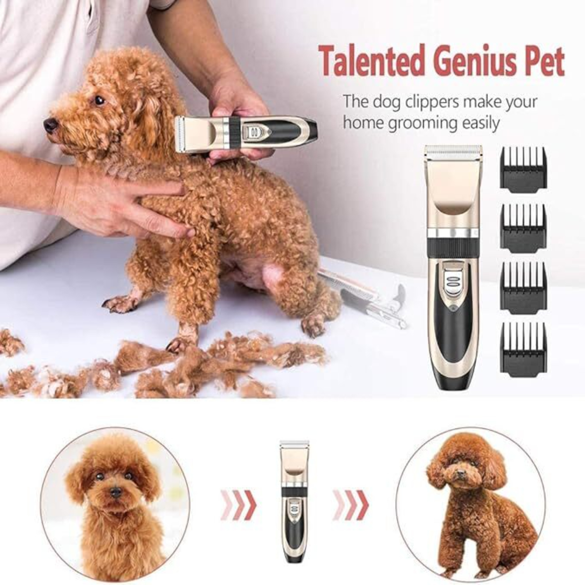 Lifestyle 1__ab67ff44