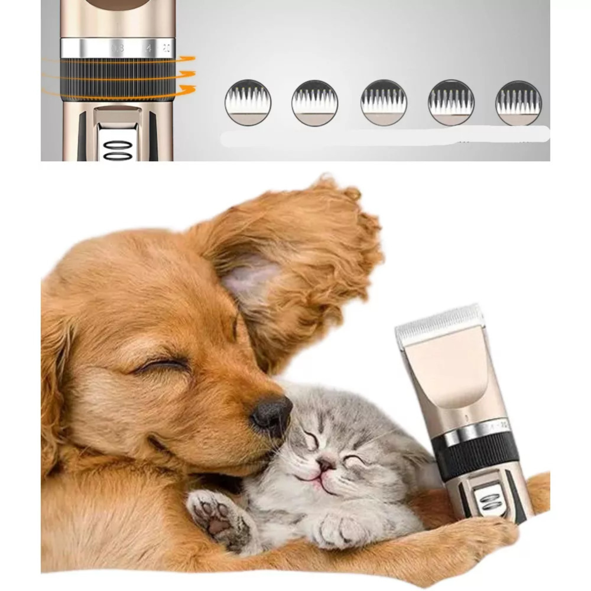 Lifestyle 2__78cb600b