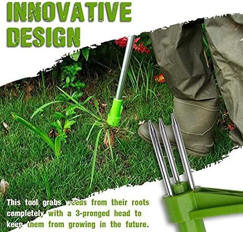 ezgif-4-826414ed55__b54549c0