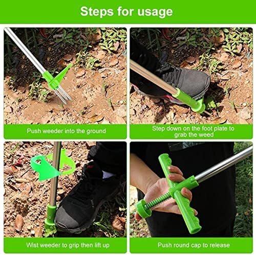 ezgif-4-cce726874e__f2117e0a