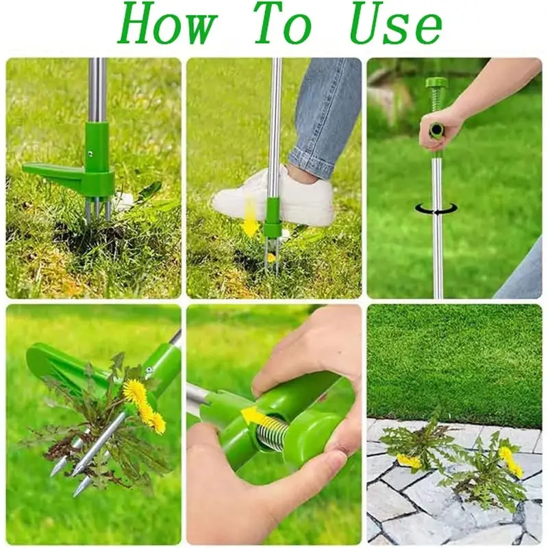 ezgif-4-fdfc025179__22f072df