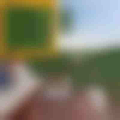 Διακοσμητικό Πάνελ Φυλλωσιάς 3x0,5 m LEAFPANEL