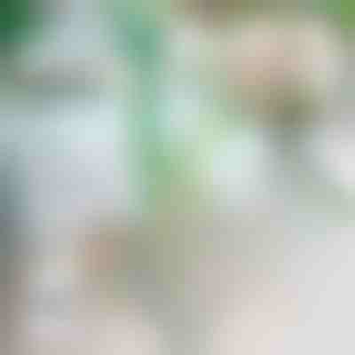 Σταθεροποιητής Φυτών | ROOTZI