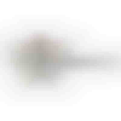 Ηλεκτρικό τηγάνι | PANMAX