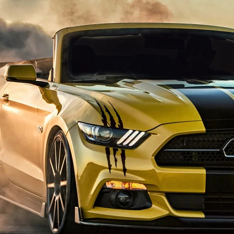 shineclaw-black-5__150525