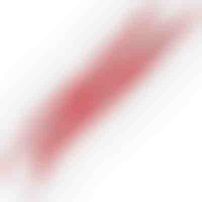 Νύχια από Τέρας Αυτοκόλλητα για Αυτοκίνητο (4 τεμάχια) | SHINECLAW