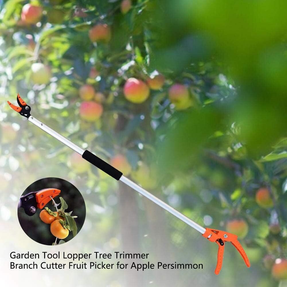 treesnip-classic-6__17755f14