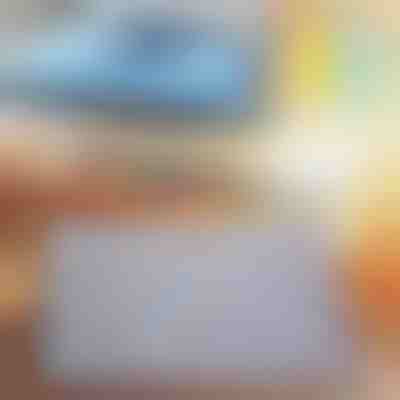 Σκίαστρο αυτοκινήτου GLADESHADE lp